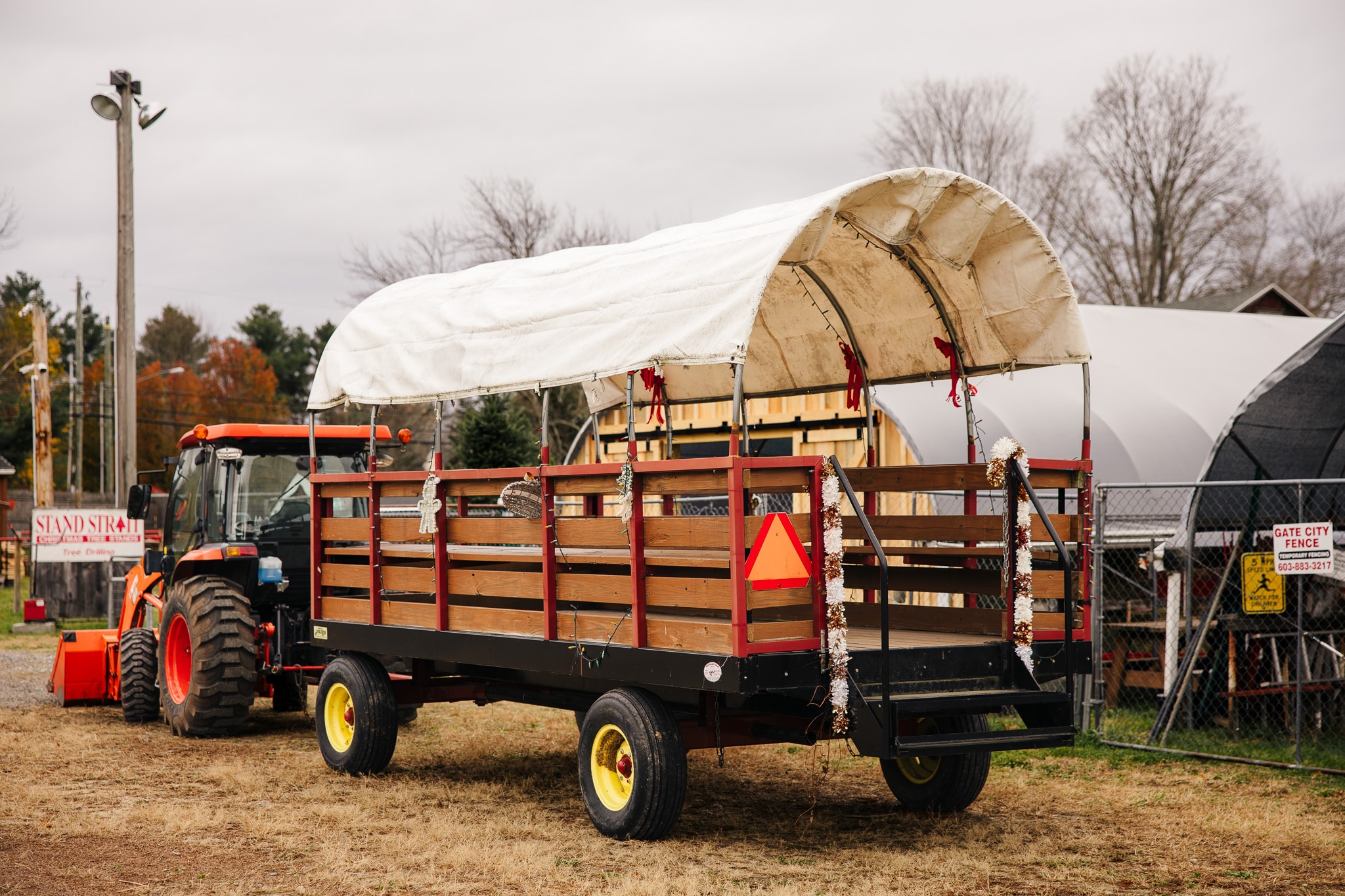 Decorated covered wagon pulled by tractor at Noel's Tree Farm