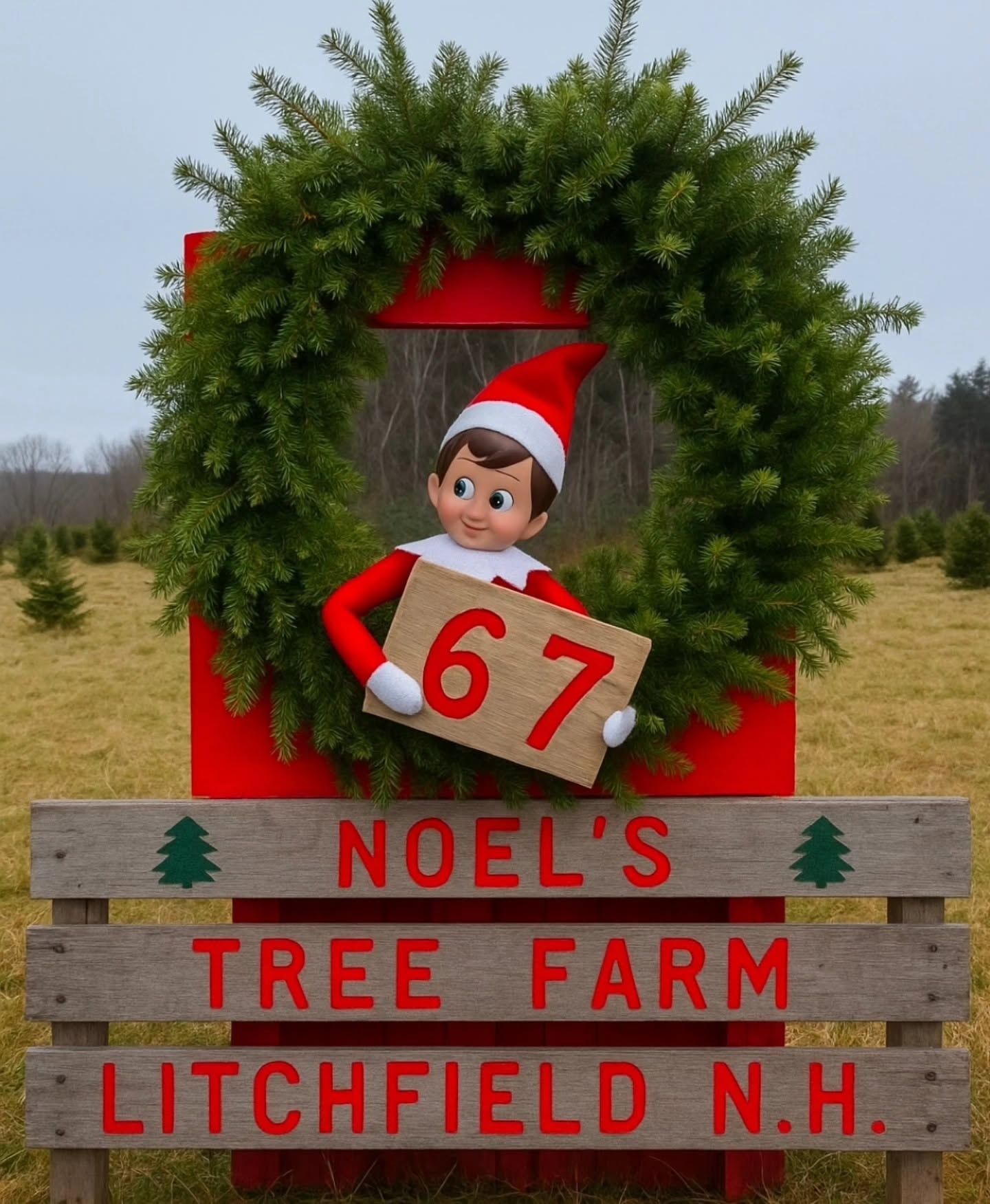 Elf on shelf christmas tree farm sign
